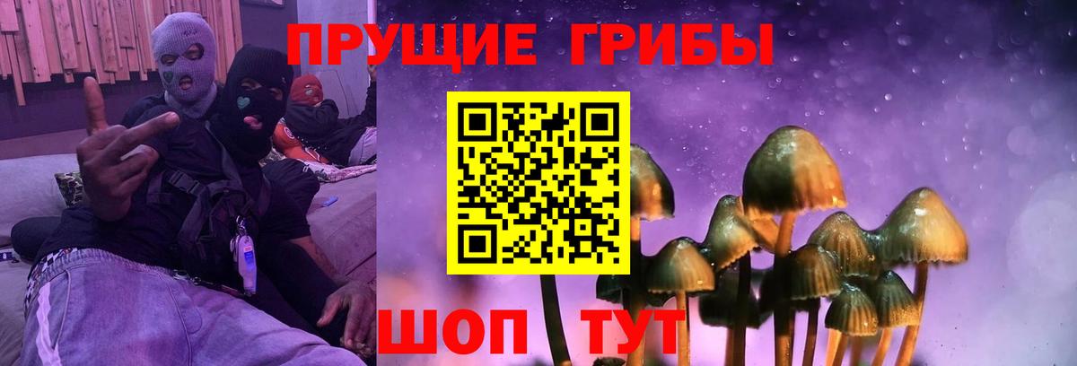 Псилоцибиновые грибы Psilocybe Люберцы